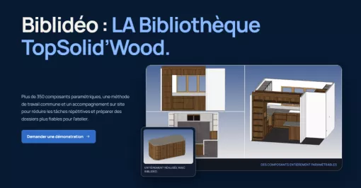 Biblidéo a désormais son propre site, Roanne, Idéo Solutions